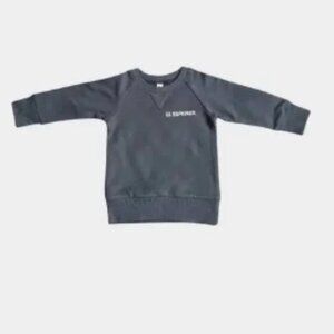 Baby Sprouts Raglan Sweatshirt - Lil Explorer